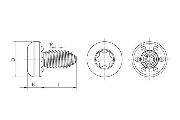 EXTRUDE-TITE® 镀锌螺钉,盘头+花齿,TORX® 槽型