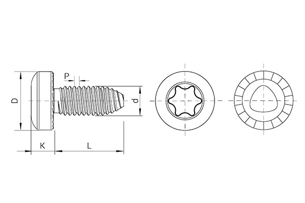 FASTITE® 2000™ 镀锌螺钉，盘头+花齿，TORX®槽型