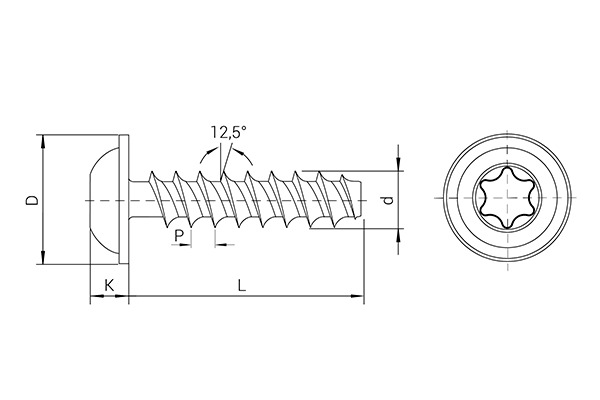 REMFORM® 镀锌螺钉,法兰盘头,TORX® 槽型