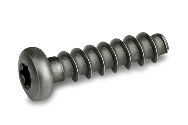 REMFORM® 螺钉,盘头,TORX® 槽型,A2不锈钢